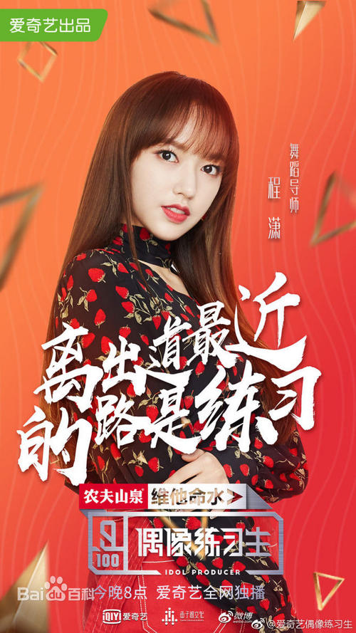 帕绍大学经济学文凭证书